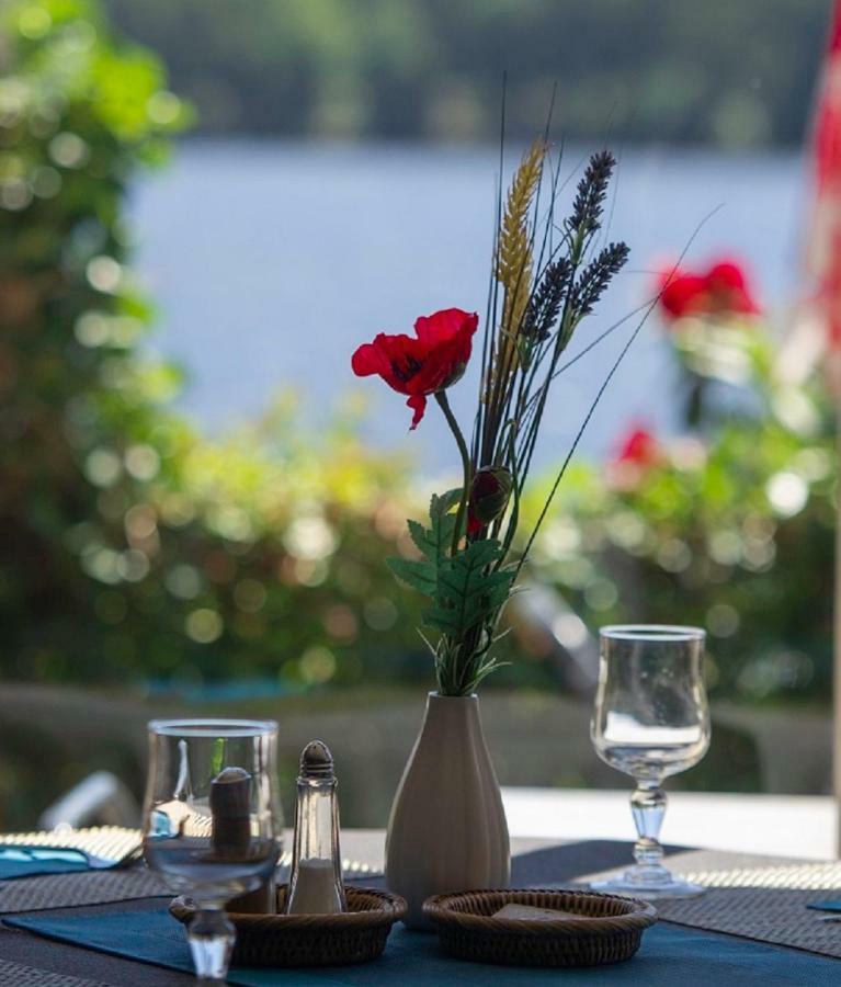 Logis Hotel Du Lac Neuvic  Kültér fotó